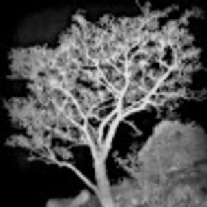 Meet your Posher, Brad